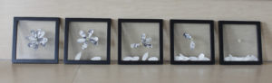 framed art